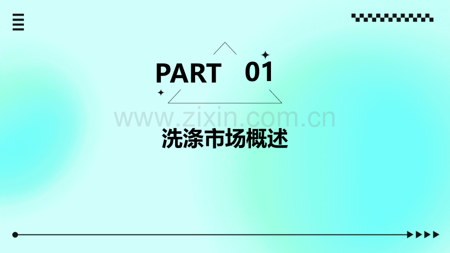 洗涤市场可行性分析方案.pptx_第3页