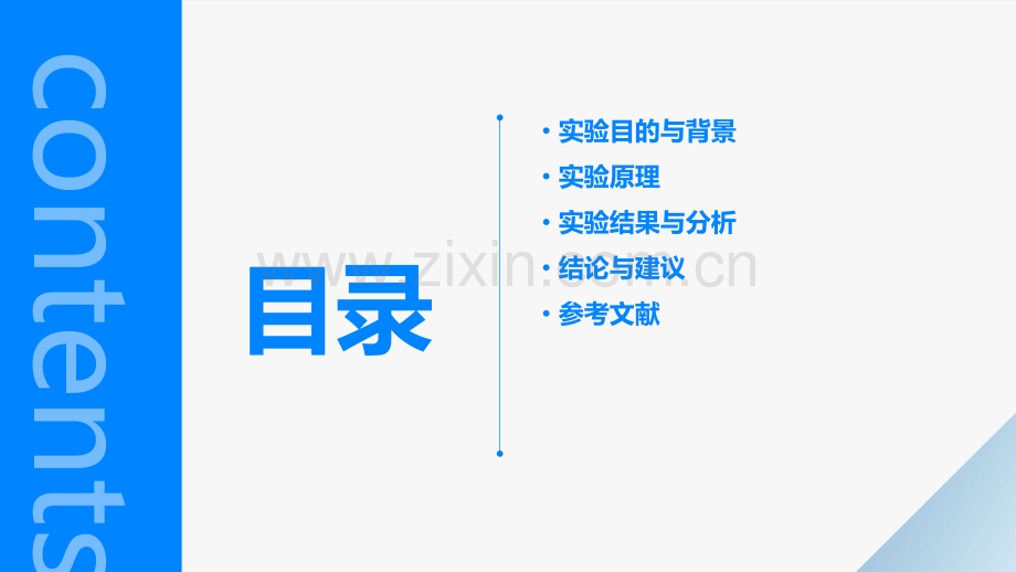 实验报告与讨论.pptx_第2页