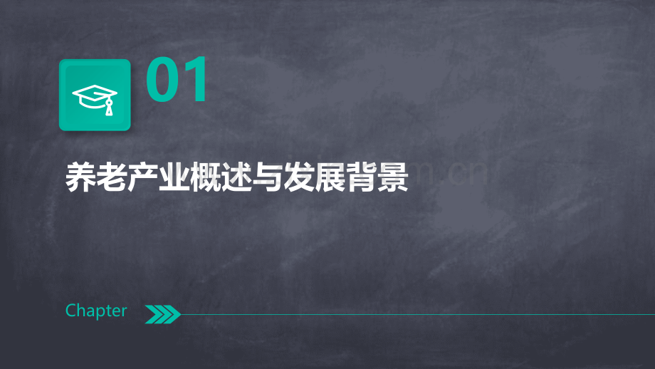 中国养老产业发展分析报告.pptx_第3页