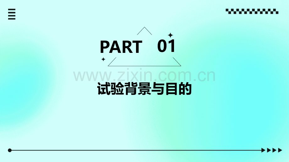 理会试验报告.pptx_第3页