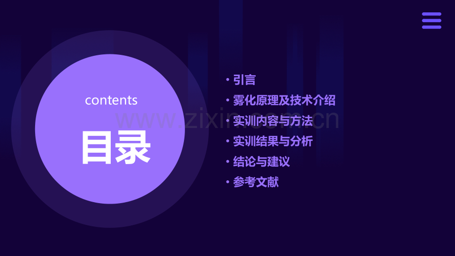 雾化实训报告.pptx_第2页