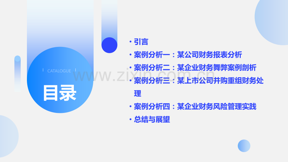 会计财务案例分析实践报告.pptx_第2页