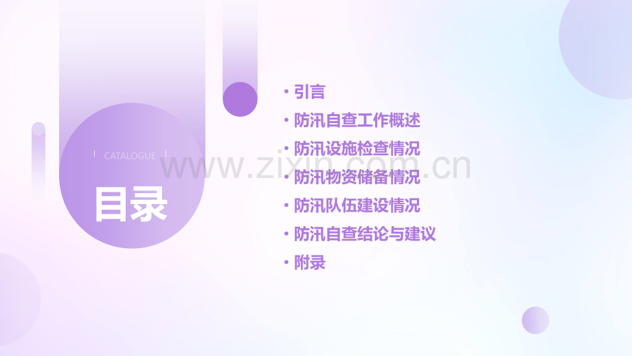 防汛自查报告.pptx_第2页