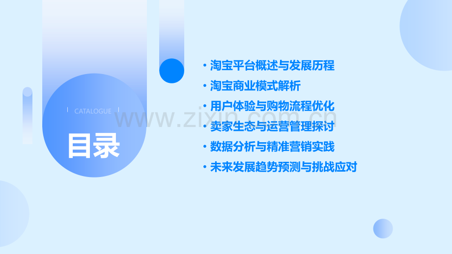 对于淘宝的分析报告.pptx_第2页