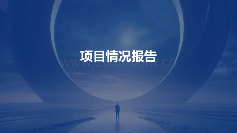 项目情况报告.pptx_第1页