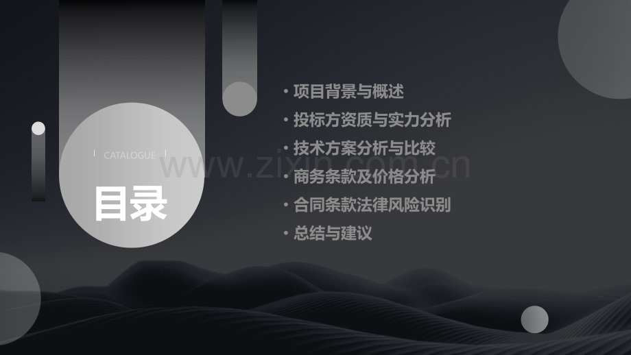 投标项目分析报告案例.pptx_第2页