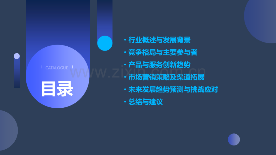 湖南安防行业分析报告.pptx_第2页