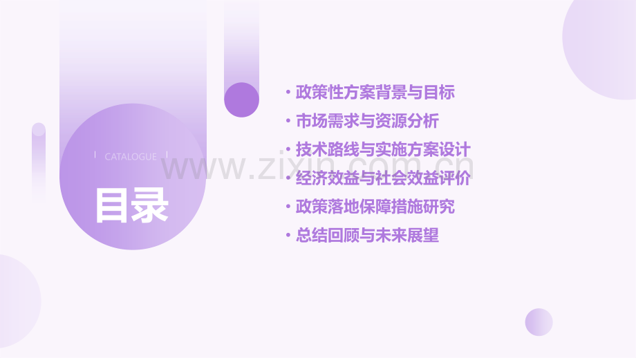 政策性方案可行性.pptx_第2页