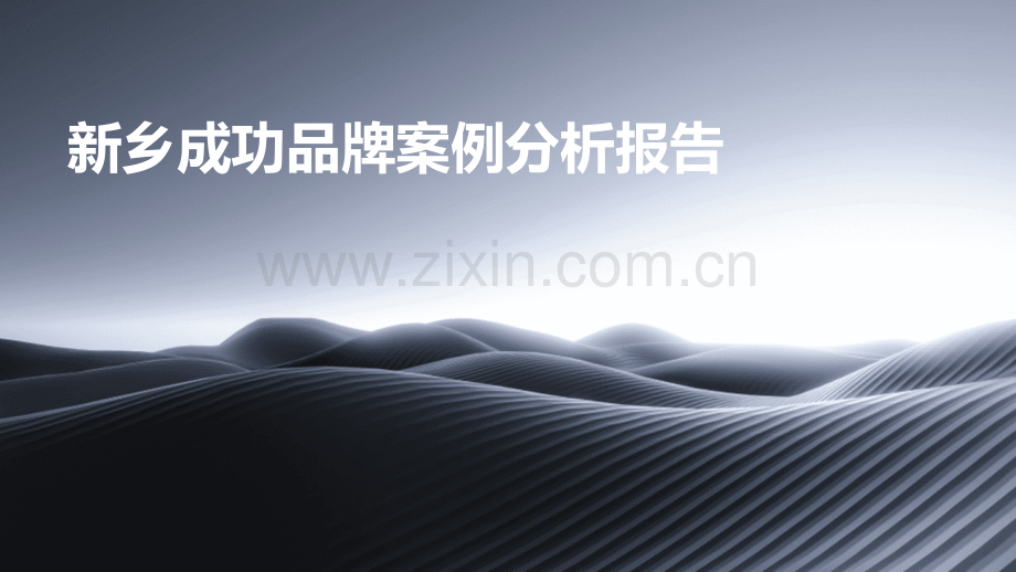 新乡成功品牌案例分析报告.pptx_第1页