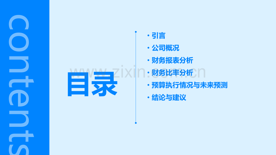 荷兰模拟公司财务分析报告.pptx_第2页