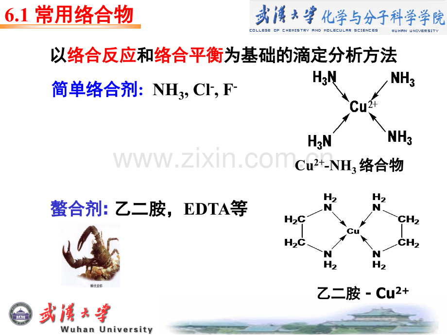 第06章武汉大学分析化学课件.ppt_第2页