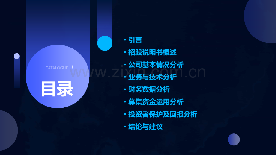 招股说明书分析报告.pptx_第2页