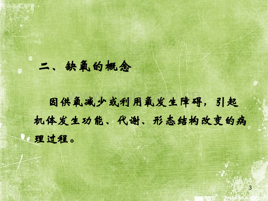 动物病理学缺氧-PPT.ppt_第3页