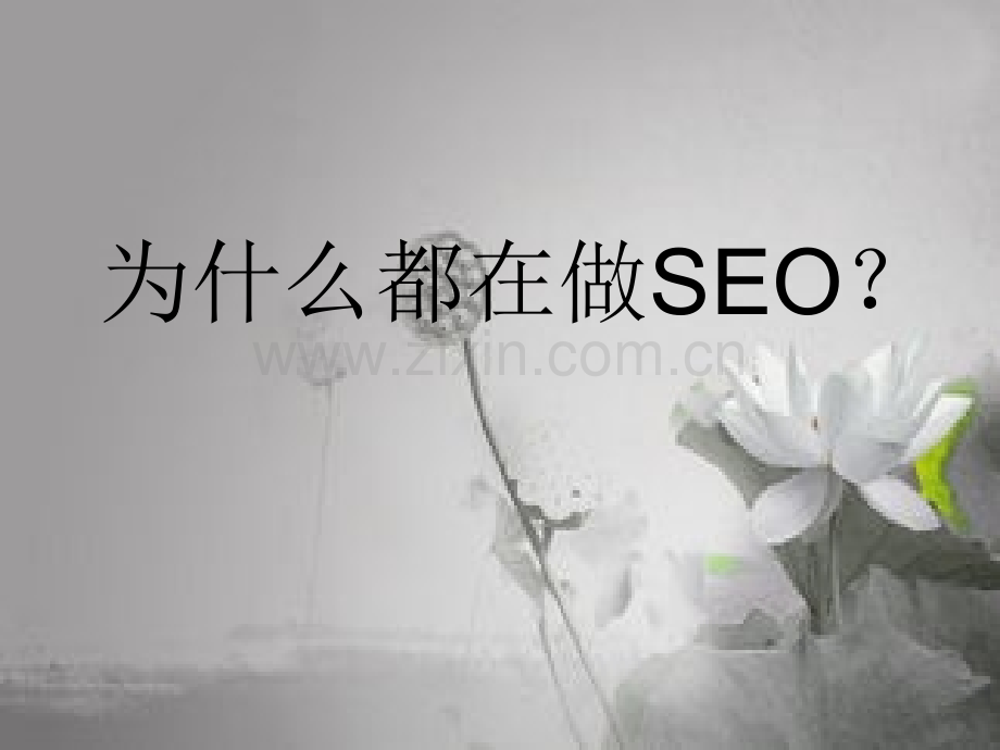 SEO工作总结-PPT.ppt_第3页