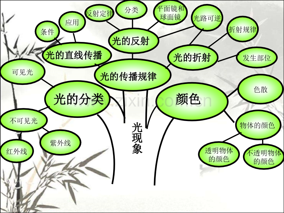 初中物理各章知识树ppt.ppt_第3页