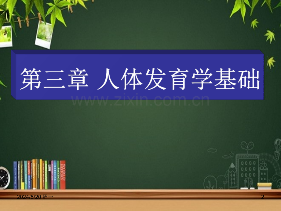 人体发育学基础-PPT.ppt_第2页