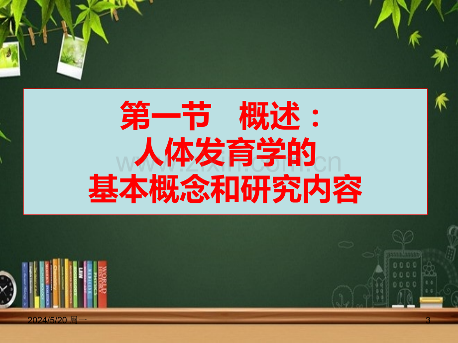 人体发育学基础-PPT.ppt_第3页