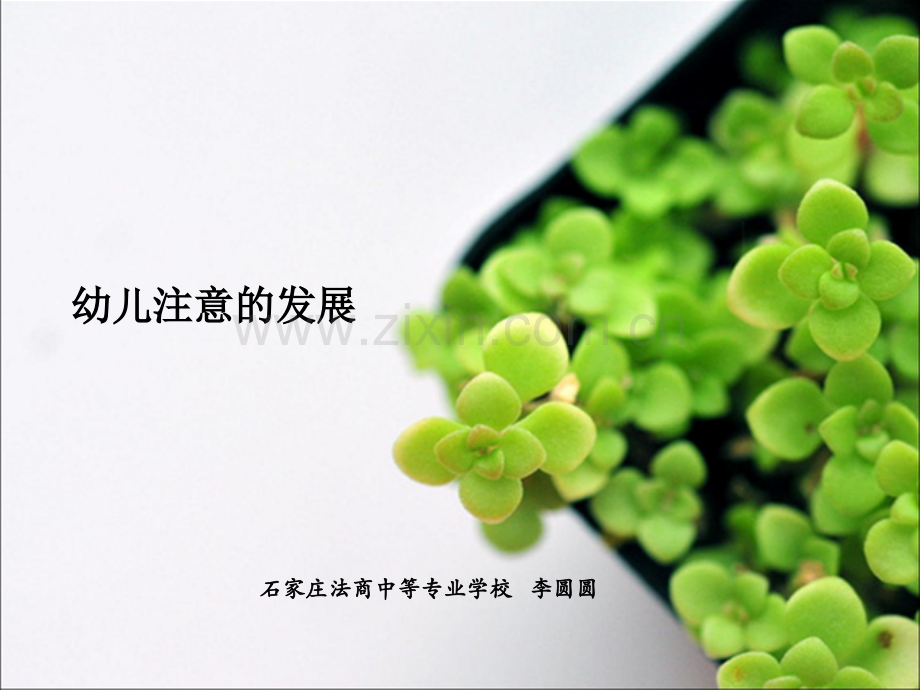 幼儿心理学说课课件-PPT.ppt_第1页