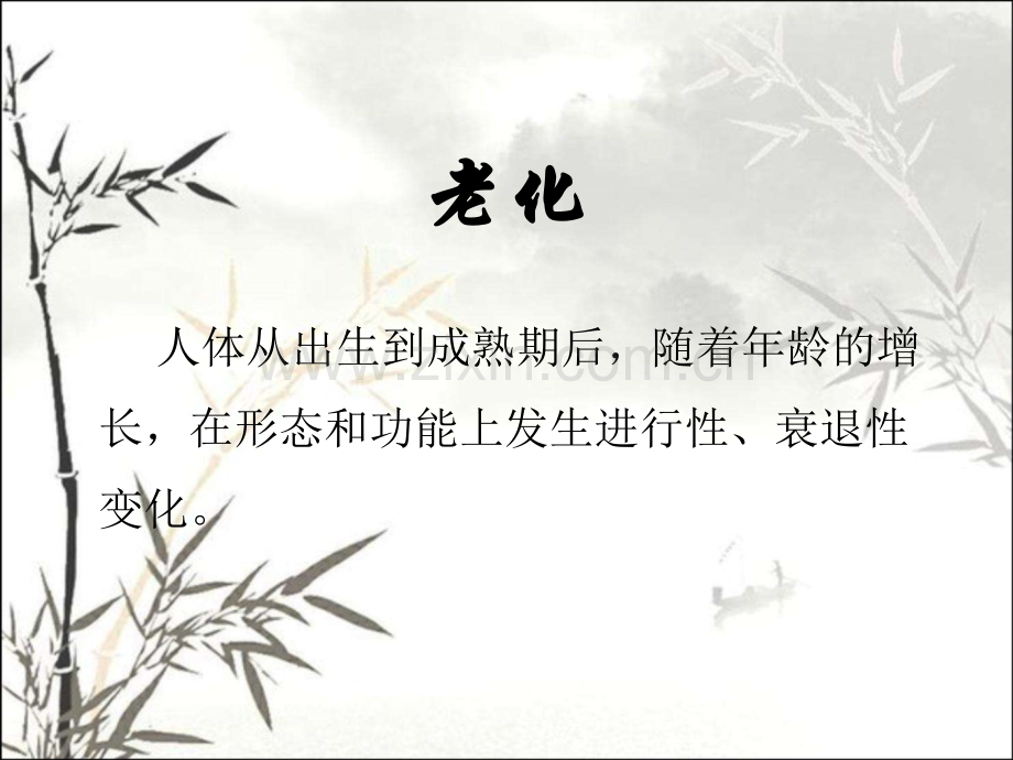 老年人健康知识讲座课件ppt课件.ppt_第2页