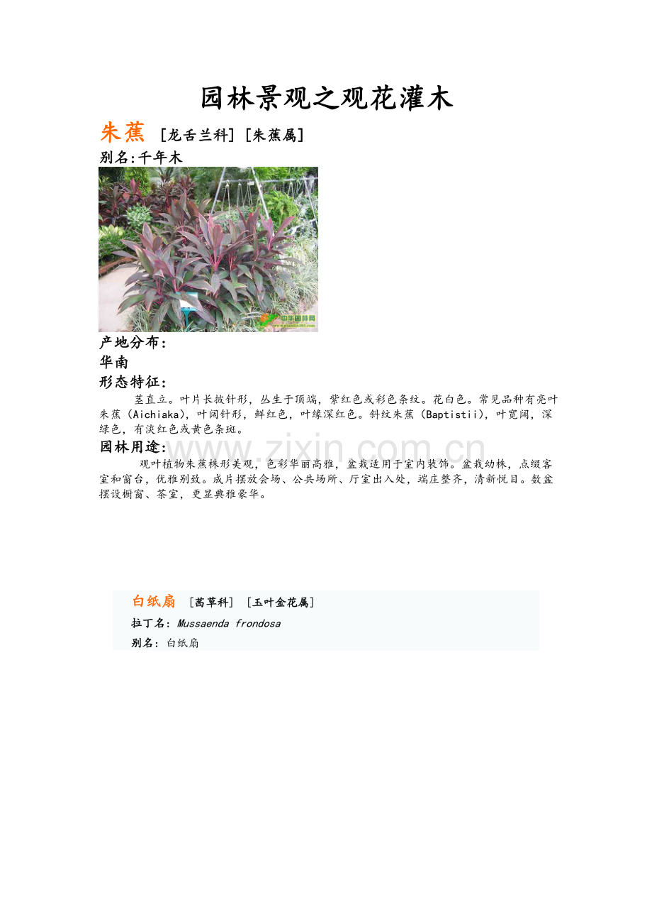 园林景观之观花灌木.doc_第1页