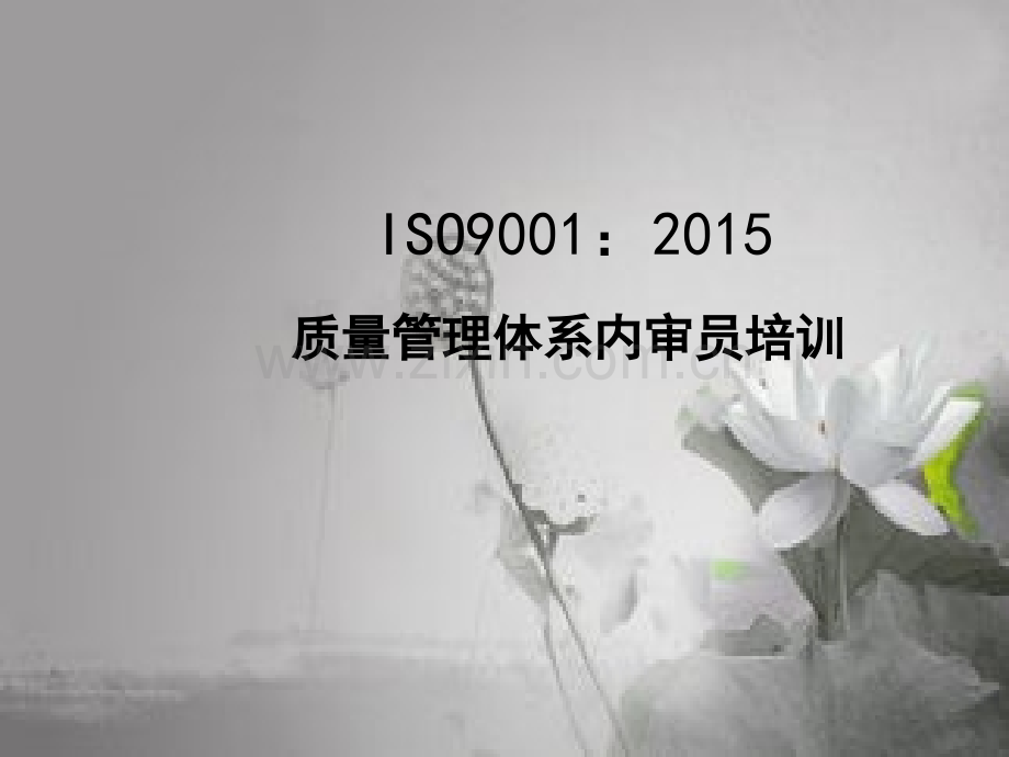 2015版质量管理体系培训教材-PPT.ppt_第1页