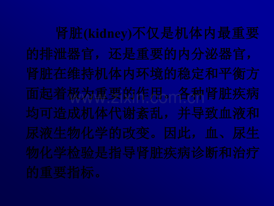 肾脏的结构和功能ppt.ppt_第2页