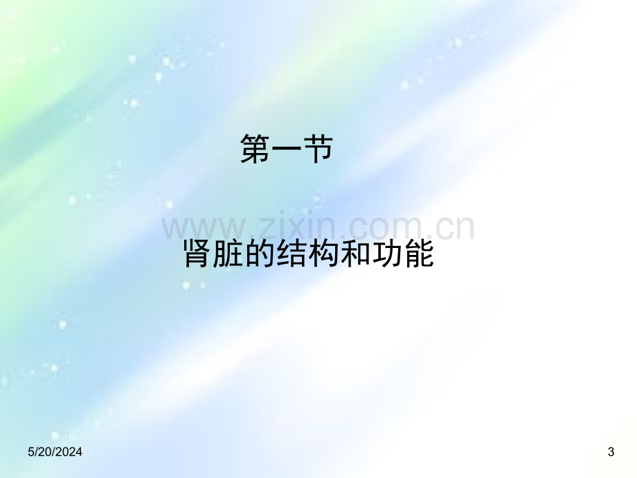 肾脏的结构和功能ppt.ppt_第3页