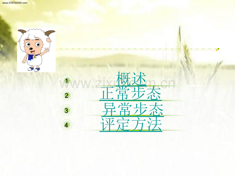 步态分析ppt.ppt_第2页