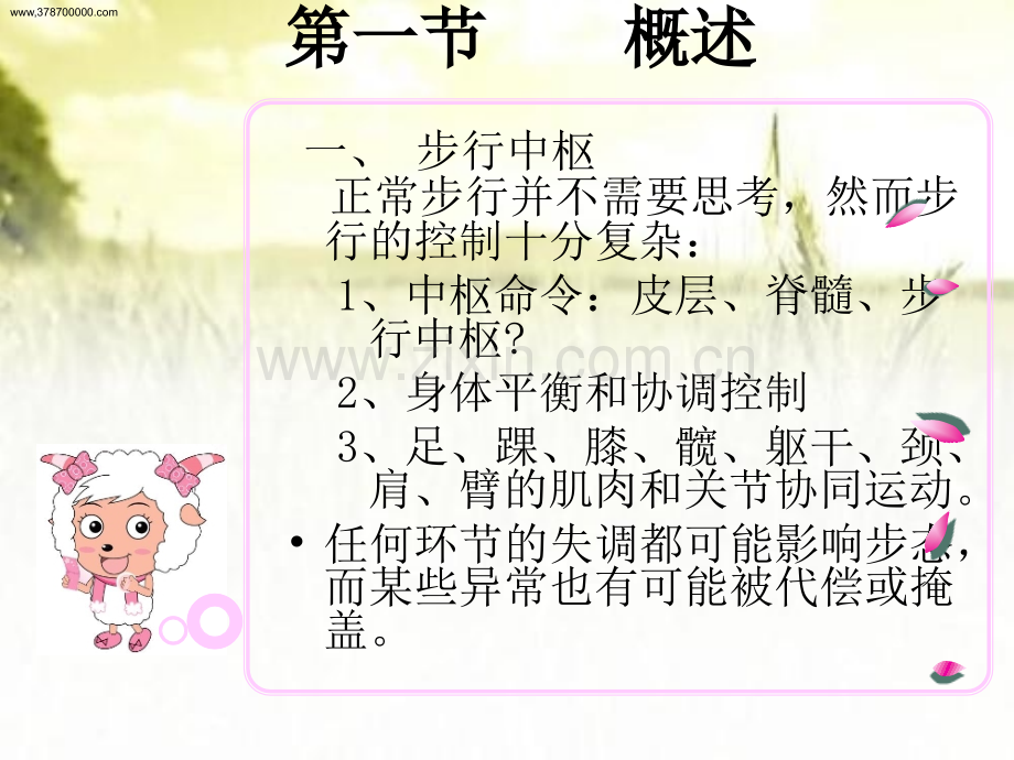 步态分析ppt.ppt_第3页