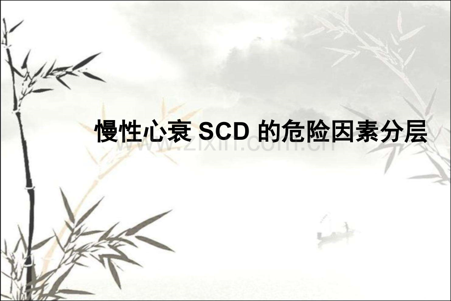 慢性心力衰竭患者SCD的预测-PPT.ppt_第1页