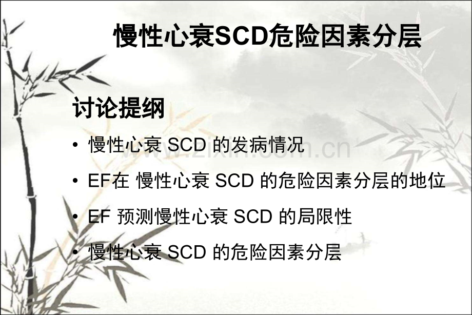 慢性心力衰竭患者SCD的预测-PPT.ppt_第2页