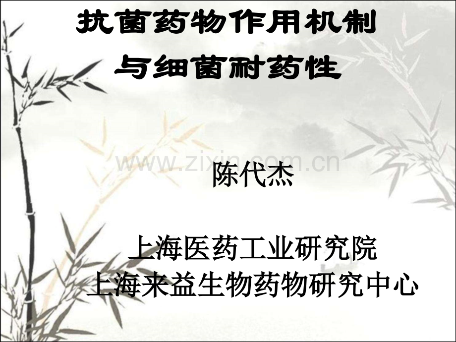 抗菌药物作用机制ppt.ppt_第1页