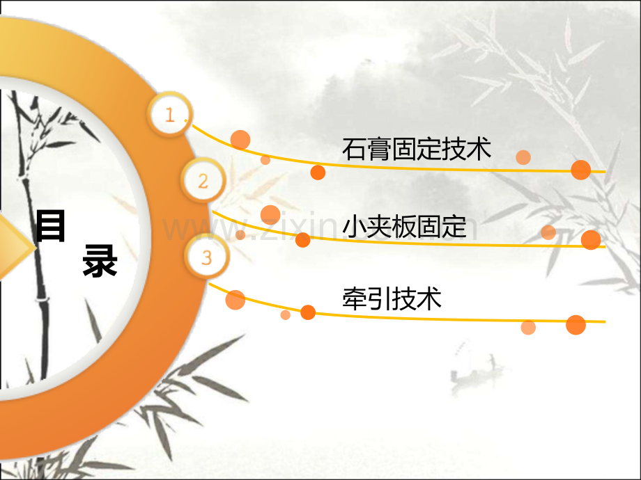 骨科常用治疗技术ppt.ppt_第2页