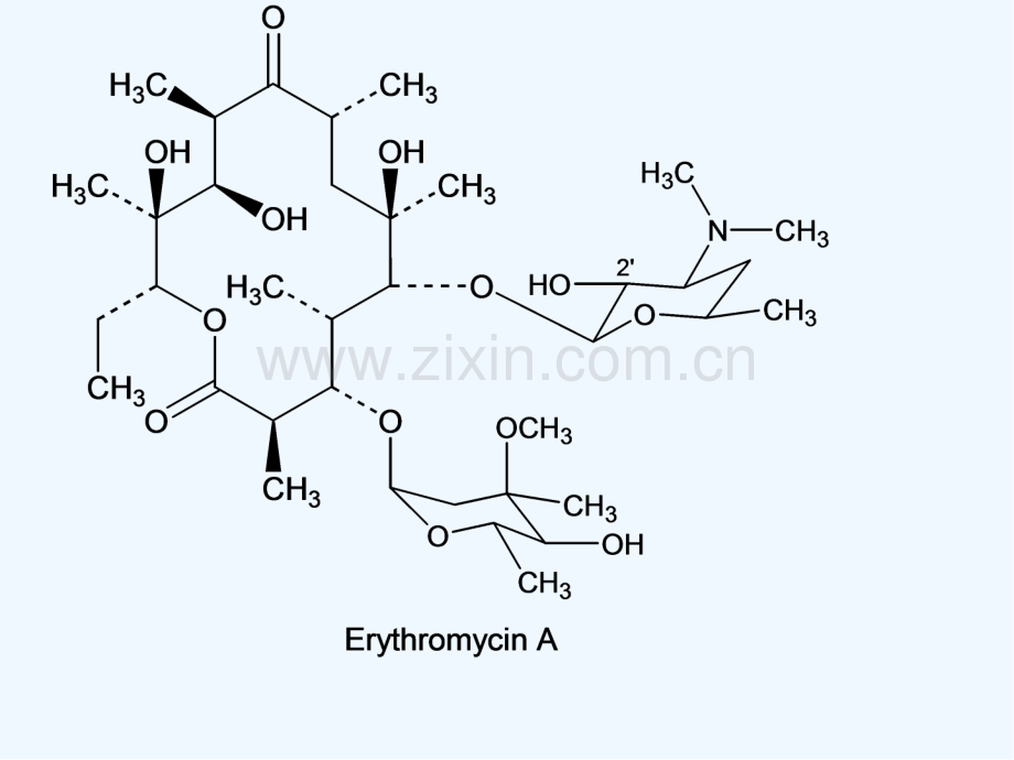 大环内酯类抗生素.pptx_第3页