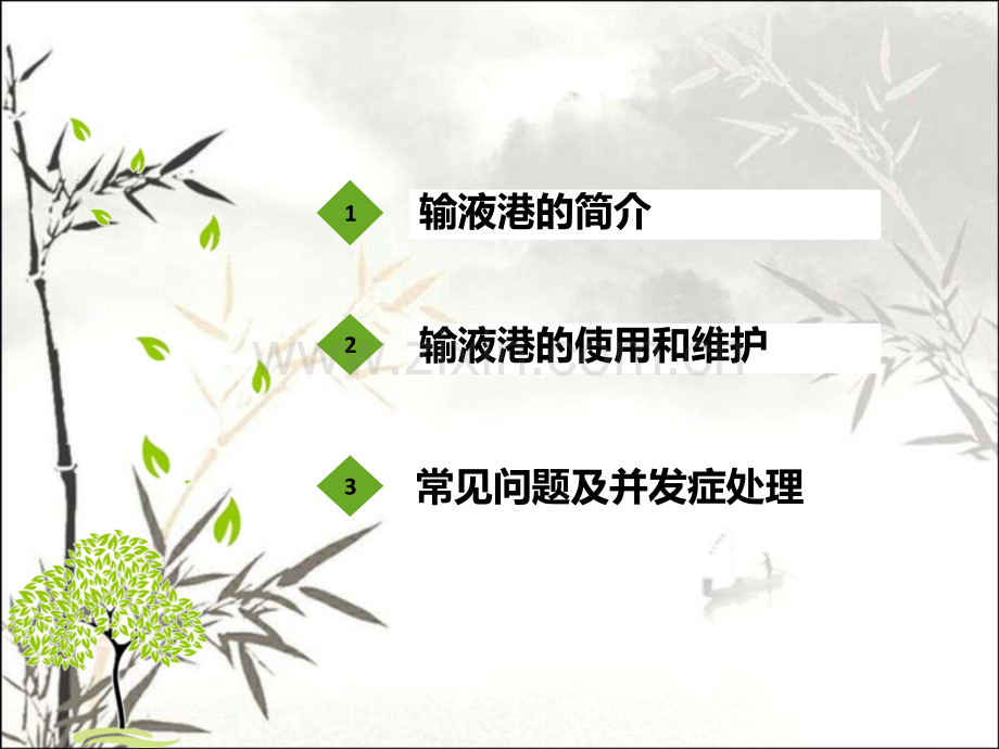 输液港的使用及管理ppt课件.ppt_第2页