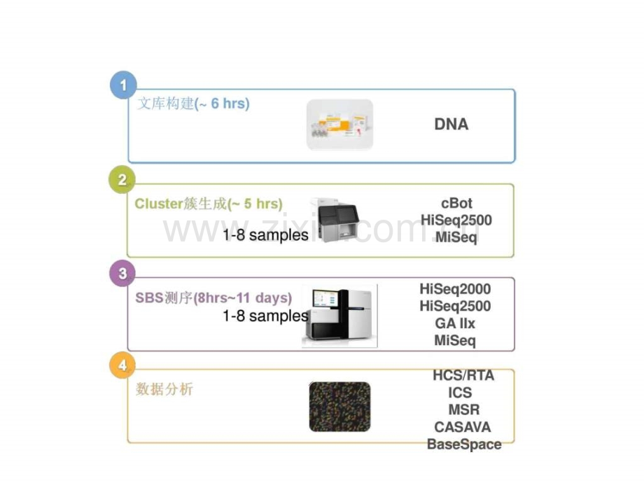 Illumina平台测序原理及常见测序文库构建.ppt_第3页