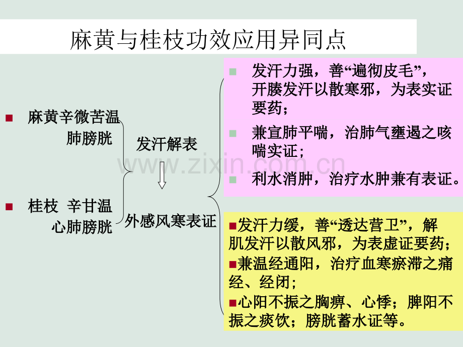 相似中药比较ppt.ppt_第1页