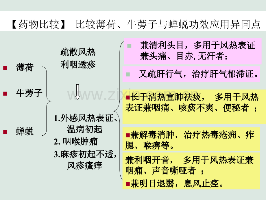 相似中药比较ppt.ppt_第3页