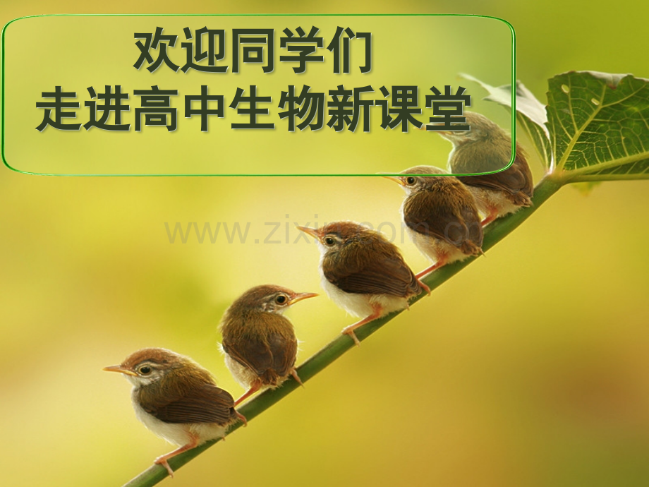 学习高中生物的方法-PPT.ppt_第1页