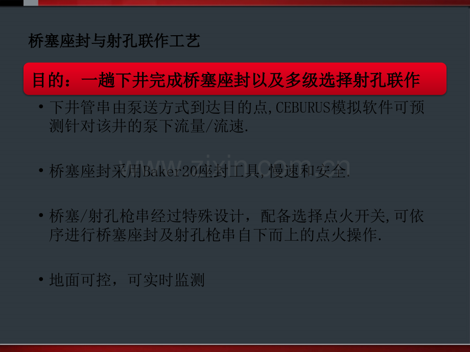 泵送式桥塞与射孔联做技术介绍n.ppt_第3页