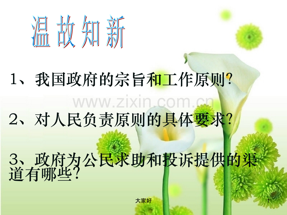 政治必修二-政府的权力：依法行使.ppt_第1页