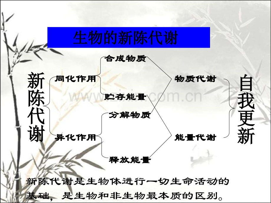 生物的新陈代谢ppt课件.ppt_第1页