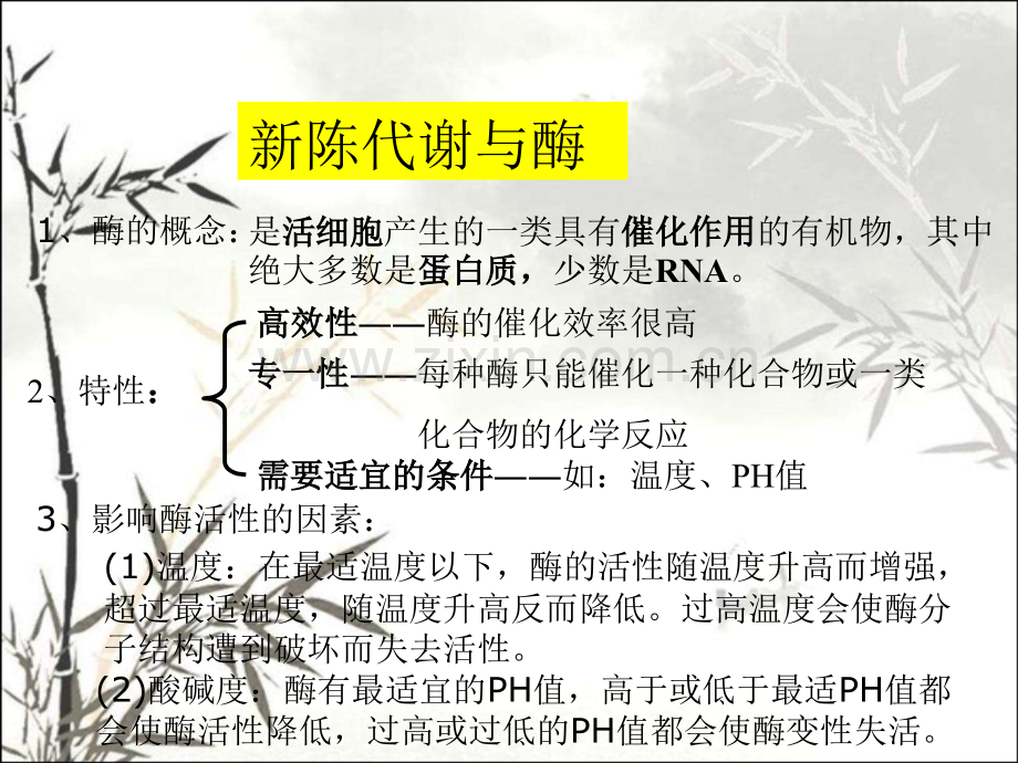 生物的新陈代谢ppt课件.ppt_第2页