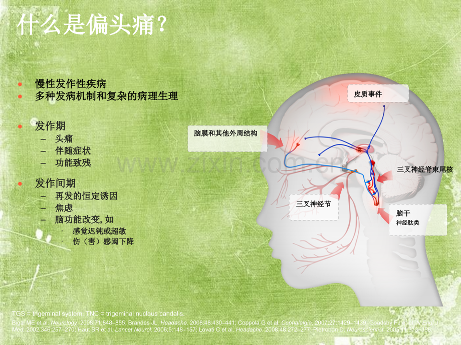 偏头痛病理生理-PPT.ppt_第3页