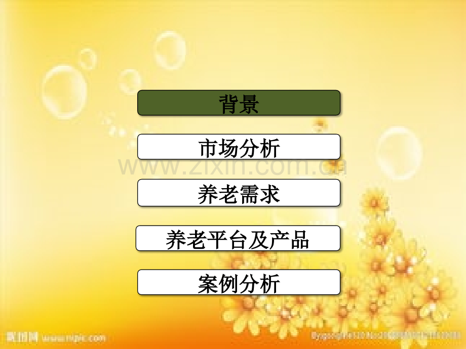 智慧养老方案建议.ppt_第2页