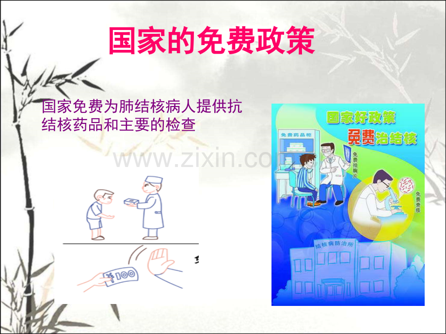 小学结核病防治专题讲座-PPT.ppt_第2页