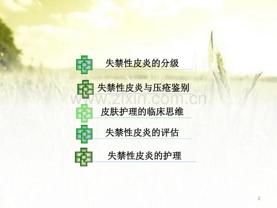 失禁性皮炎的护理.ppt_第2页