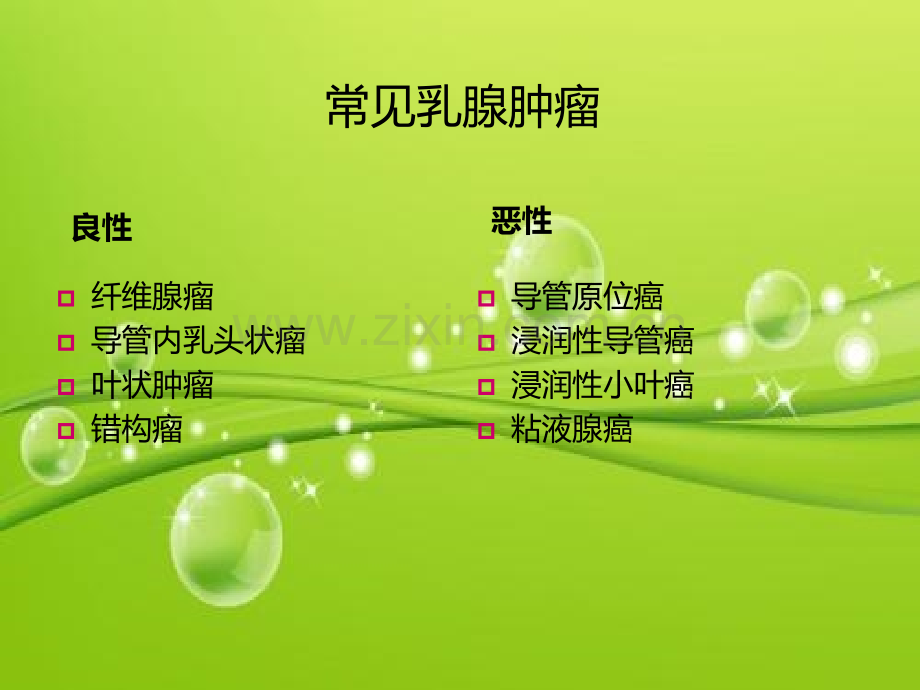 常见乳腺肿瘤的影像表现-PPT.ppt_第2页