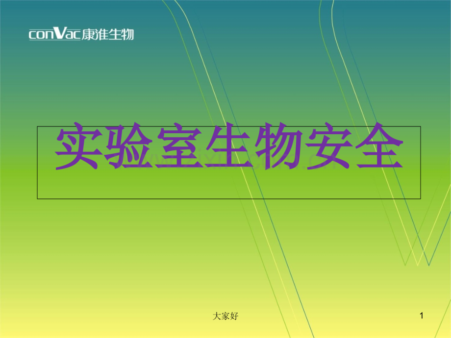 实验室生物安全-PPT.ppt_第1页