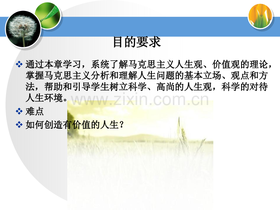 我的人生观价值观分析.ppt_第2页